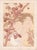 Henri Detouche, Dans les Ronces, Lithograph on Paper For Sale - Image 11 of 11