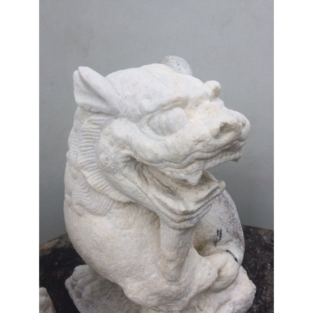 Hand Carved White Granite Foo Dogs A Pair Chairish