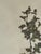 1965 French Herbarium Botanical Specimens – Set of 9 Custom Framed Pressed Botanicals For Sale - Image 15 of 17