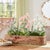 Rustic Mini Mum Floral Bush (Set of 4) For Sale - Image 3 of 5