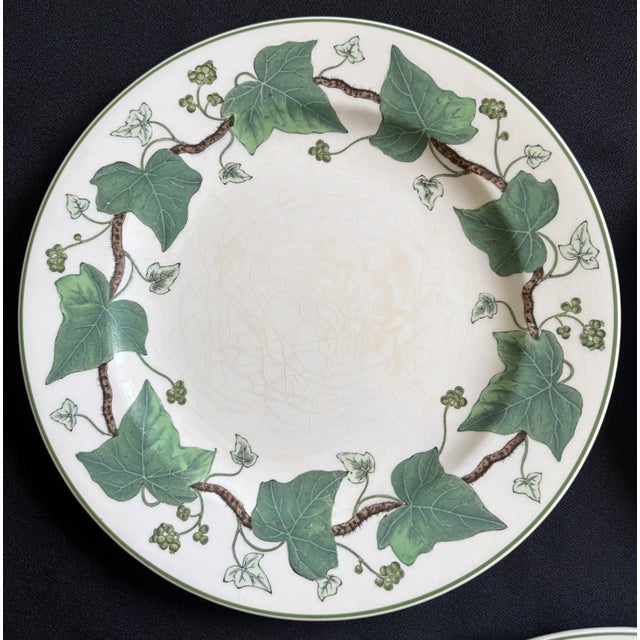 Napoleon Ivy Wedgwood Vintage Plates - Set of 5 For Sale In Los Angeles - Image 6 of 8