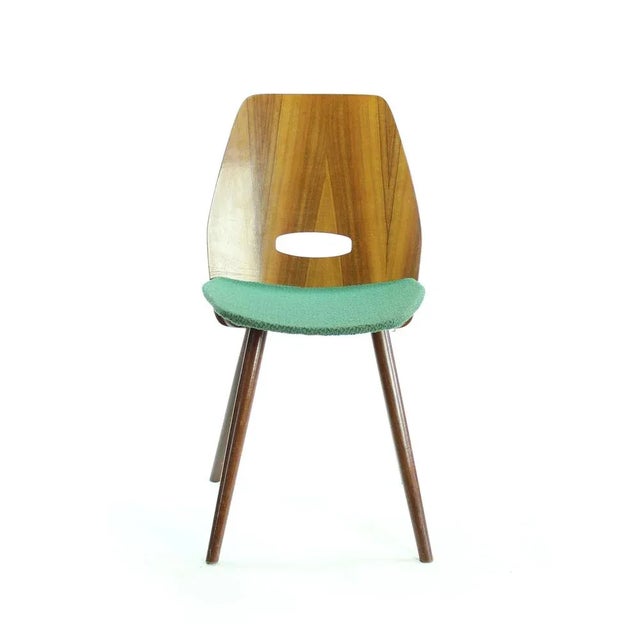 Oak and Plywood Dining Chair by František Jirák for Tatra, 1960s For Sale - Image 6 of 7