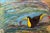Large Vibrant Tropical Toucan Painting, Signed Mampel For Sale - Image 9 of 10