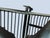 Italian Chaise Lounge, 2000s For Sale - Image 6 of 7