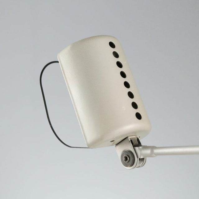 Daphine Lamp by Tommaso Cimini for Lumina For Sale - Image 9 of 11