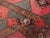 Galerie Shabab Collection Mid-20th Century Turkish Anatolian Room Size Carpet For Sale - Image 9 of 10