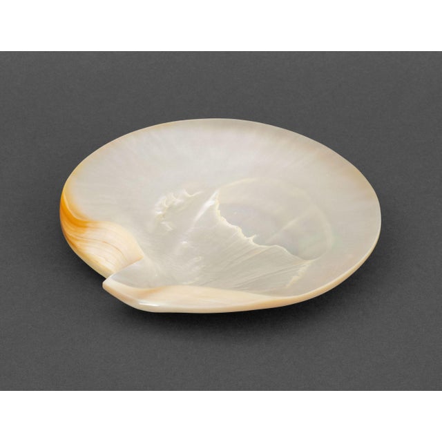 Collection of Nine Mother-of-Pearl Assembled Caviar Service, comprising: two shell form plates, salt and pepper shakers,...
