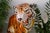 1970s Large Italian Ceramic Tiger, 1970s For Sale - Image 5 of 18