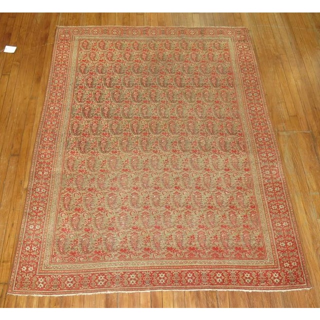An illustrious dorokhsh rug with an inspiring all-over boteh design with shades of cinnamon and cocoa browns. Close-up...