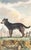 This charming hand-colored 1758 engraving is one of the oldest available prints of a dog. Taken from the 10th volume...