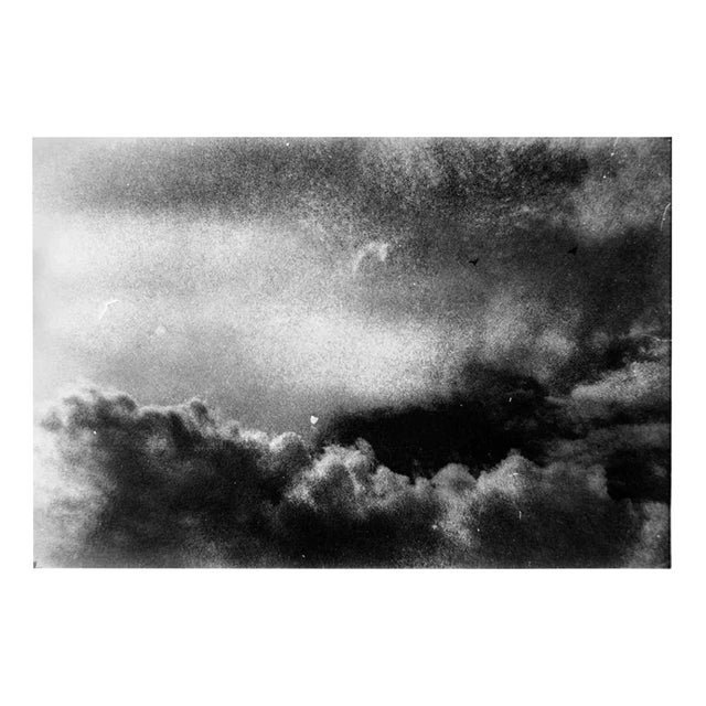 Serena Zeppilli, Expired_14_2020, Original Photograph For Sale