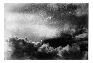 Serena Zeppilli, Expired_14_2020, Original Photograph