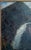 Rustic Early 20th Century Continental European Landscape Painting of Gollinger Waterfall Austria For Sale - Image 3 of 16