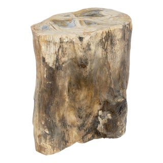 Petrified Wood Organic Shape Multicolor Beige to Black Stand End Table Pedestal For Sale