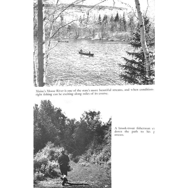 Paper "All About Brook Trout From Maine to California" 1954 Elliot, Bob For Sale - Image 7 of 9