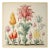 20' X 20' Framed 'Flowers' Botanical Print #18 - 'Hortus Floridus' Style For Sale
