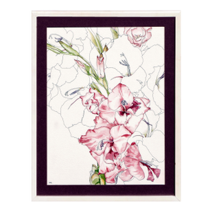 Begonia - Botanical Study by Deborah Eddy