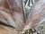 1920s 1920s French Art Deco Chandelier For Sale - Image 5 of 12