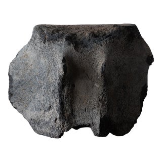 A Fossilized Whale Vertebrae For Sale