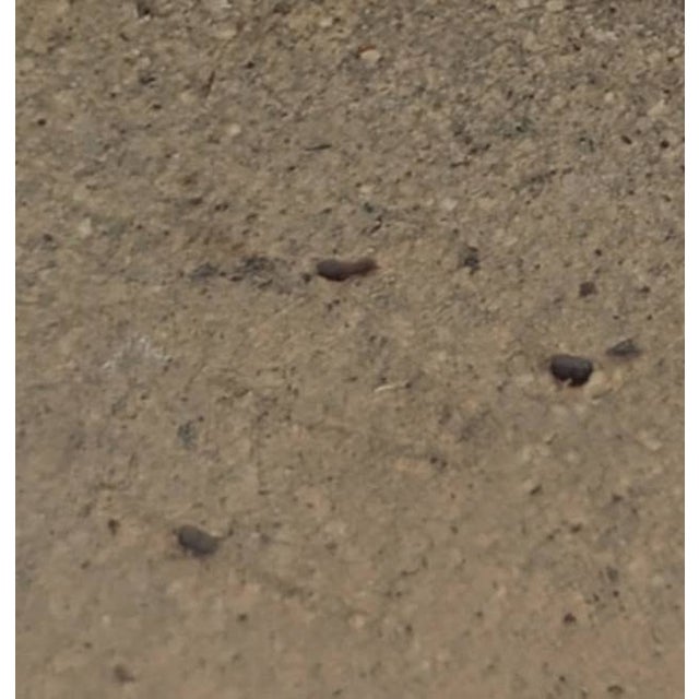 Mid 20th Century Drip-Glazed Stoneware Vase For Sale - Image 11 of 11