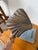 Vintage Brutalist Box in Wood and Seashell, 1960s For Sale - Image 15 of 18