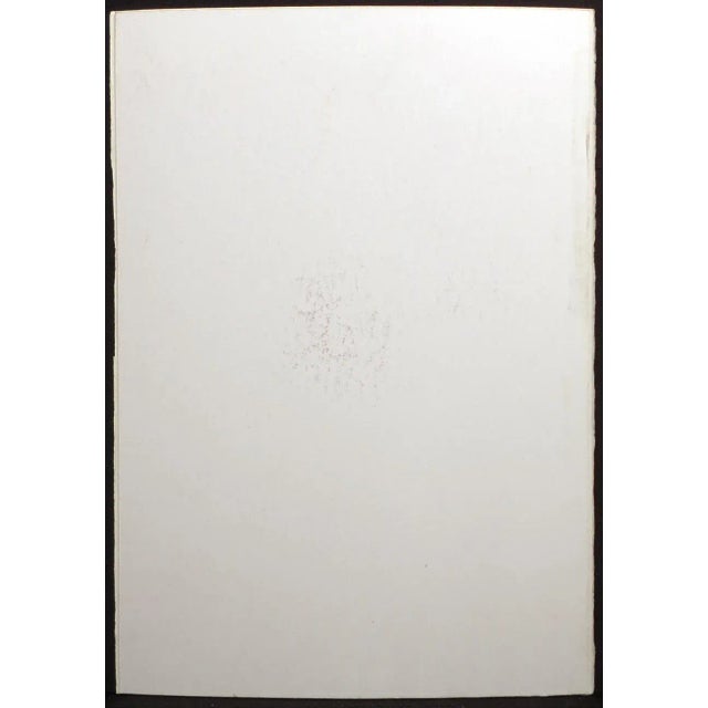 18th Century "Bezy Du Chaumontel" Hand Colored 1768 Pear Print For Sale - Image 9 of 10