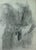 1920s Heinrich Pforr, Studies of Women, 1920s, Pencil For Sale - Image 5 of 13