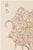 A refined example of late 19th-century Japanese botanical illustration, this vintage art print reproduction features Blush...