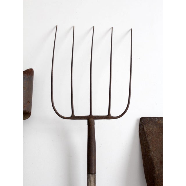 Antique Garden Tool Collection For Sale - Image 15 of 18