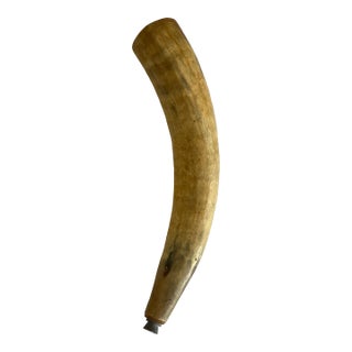 Large Antique Cow Powder Hunting Horn For Sale