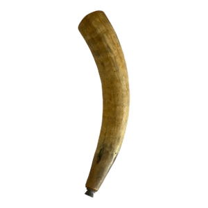 Large Antique Cow Powder Hunting Horn