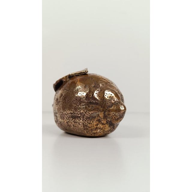 Sculptural Amalfi Coast Lemon Paperweight in Cast-Brass, 1970s For Sale - Image 17 of 18