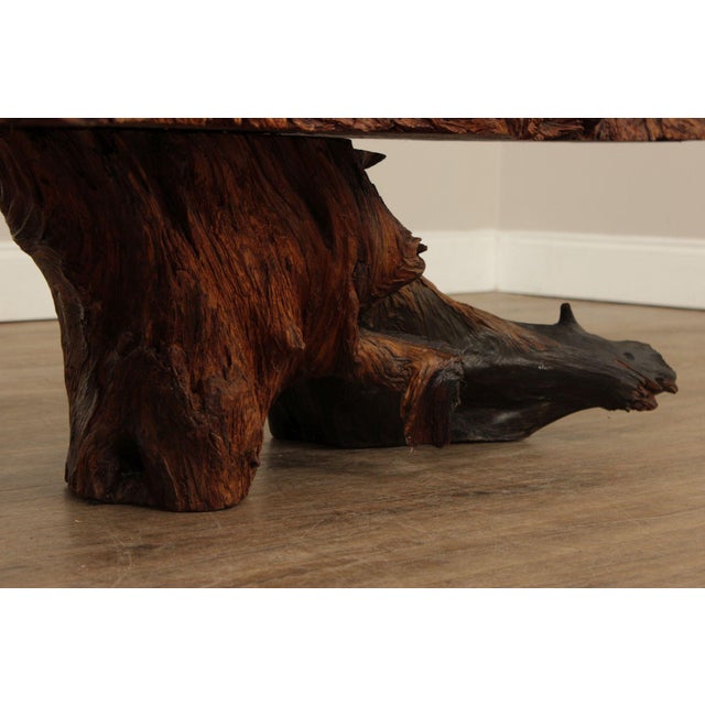 Mid Century Modern Live Edge Driftwood Coffee Table For Sale - Image 11 of 12