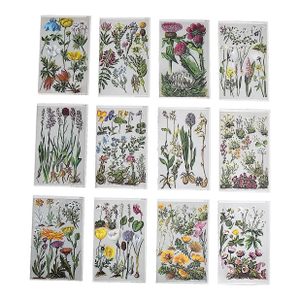 Authentic Antique 19th Century Botanical Lithographs - Set of 12