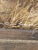 Mid-Century Modern Vintage Philip Sandee. Sandee Framed Beach Coastal Oil Painting – Seagulls & Dunes 26" X 22" For Sale - Image 3 of 12