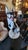 A life-size ceramic Harlequin Great Dane, hand painted from Italy that was most likely produced around 1970-1979....