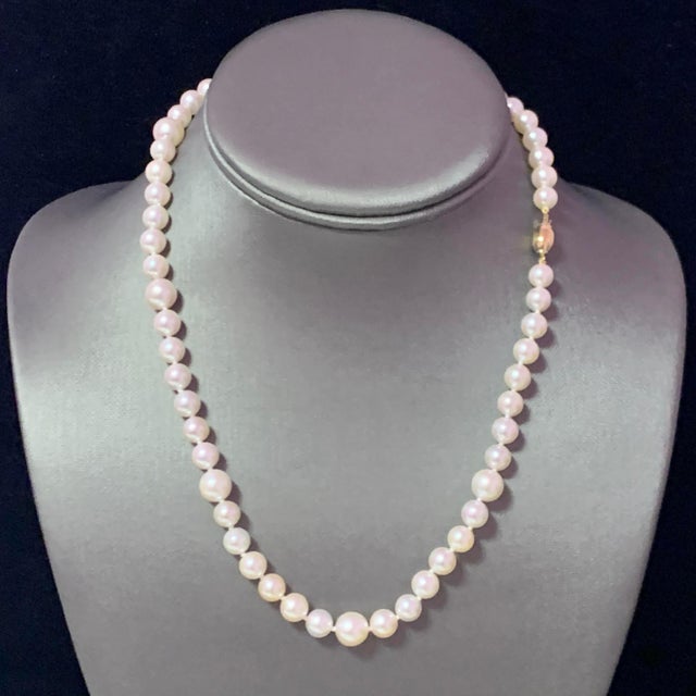 Akoya Pearl Necklace 14k Gold Certified For Sale - Image 9 of 14