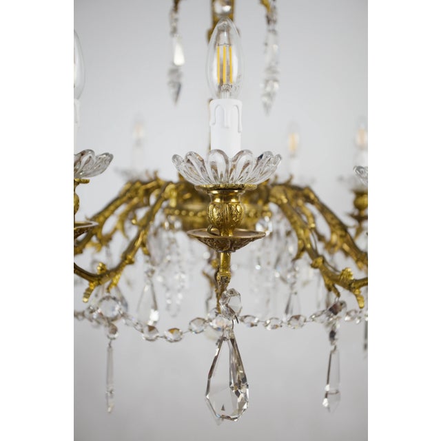 Goldenrod Brass Chandelier with Trimmings for Twelve Bulbs For Sale - Image 8 of 12