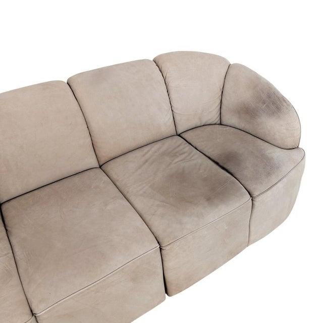 Animal Skin Piccolino Two-Seater Suede Sofa from Walter Knoll For Sale - Image 7 of 12