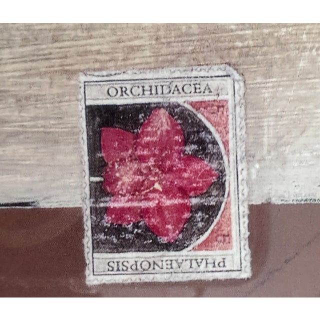 Vintage Orange and Cherry Blossom Pair of Framed Prints For Sale - Image 9 of 12