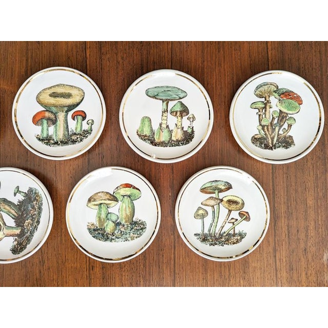 1950s Small Ceramic Coasters with Mushrooms by Bucciarelli, Milano, 1950s, Set of 7 For Sale - Image 5 of 11