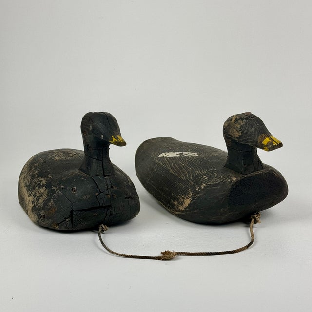 1930s Pair of Early 20th Century C. E. Harding Duck Decoys For Sale - Image 5 of 12
