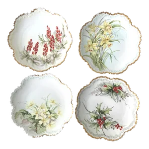 Gorgeous Set of Monbijou Bavaria Floral Porcelain Plates.