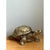 Vintage Gold Painted Wood Turtle Figure For Sale - Image 4 of 12