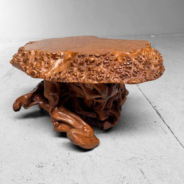 1940s Mid-Century Yakusugi (Yakusugi) Burl Wood Plant Stand, Japan, 1940s For Sale - Image 5 of 14