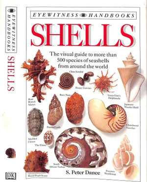 "Shells: The Visual Guide to More Than 500 Species of Seashells From Around the World" 1992 Dance, S. Peter