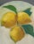 Textile Contemporary 'Lemons' Original Mini Impressionist Still Life Oil Painting, Unframed For Sale - Image 7 of 8