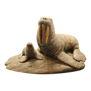 Vintage Peter Berryman Walrus Statue Cold Cast Bronze Sculpture