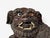 Chinese Export, Opposing Foo Dogs, Solid Teakwood, Glass, China, 19th C. For Sale - Image 9 of 18