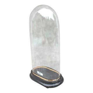 Antique Oval Glass Dome 15.16 X 7.09 X 3.94 Special Size Bell Jar Victorian Era 38,5 X 18 X 10 Cm Unique Collectible Timepiece Home Decor For Sale